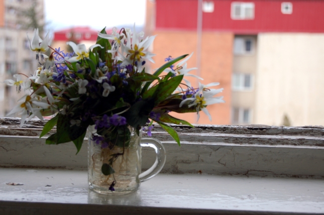 Spring flowers in  vase on the window